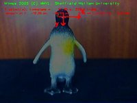2-D/3 DOF penguin live demo (999 kByte video (http://vision.eng.shu.ac.uk/jan/penguin.avi))