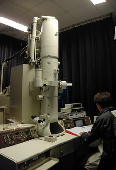 JEOL 3010 transmission electron microscope at Sheffield University, Sorby Centre (http://www.shef.ac.uk/materials/research/centres/sorby/)