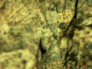Surface of 10-pence coin, Leica DM LAM