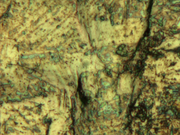 Extended depth-of-field image showing part of the 10-pence coin (compare with 1.39 MByte video of focus stack (http://vision.eng.shu.ac.uk/jan/coin.avi))