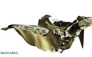 3D reconstruction of first object (742kB video) (http://vision.eng.shu.ac.uk/jan/grid1.avi)