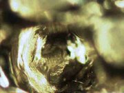 First surfi-sculpt object, Leica DM LAM