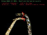 Realtime object recognition and tracking with 3-D/4 DOF (859 kByte video (http://vision.eng.shu.ac.uk/jan/gripper.avi))