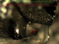 Object recognition and tracking of syringe chip in 3-D/4 DOF (16 MByte video (http://vision.eng.shu.ac.uk/jan/syringe3.avi))