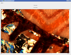 Lateral stitching using the feedback of the microscope's drive