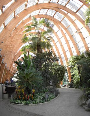 Sheffield Winter Gardens (http://en.wikipedia.org/wiki/Sheffield_Winter_Gardens) next to the university